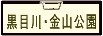 黒目川・金山公園 